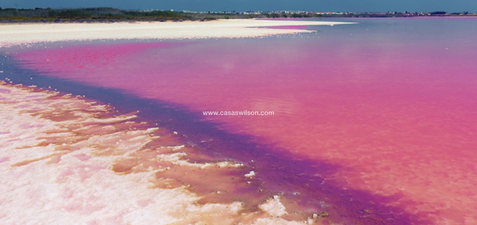 Venta - Apartamento - Villamartin - Costa Blanca