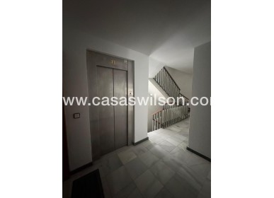 Sale - Appartement - Orihuela - Zona Centro