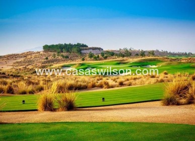 New Build - Bungalow - Alhama De Murcia - Condado de Alhama