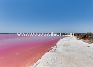 Venta - Apartamento - Torrevieja - Parque Las Naciones