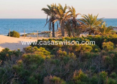 New Build - Apartment - Guardamar del Segura - Avda del Puerto
