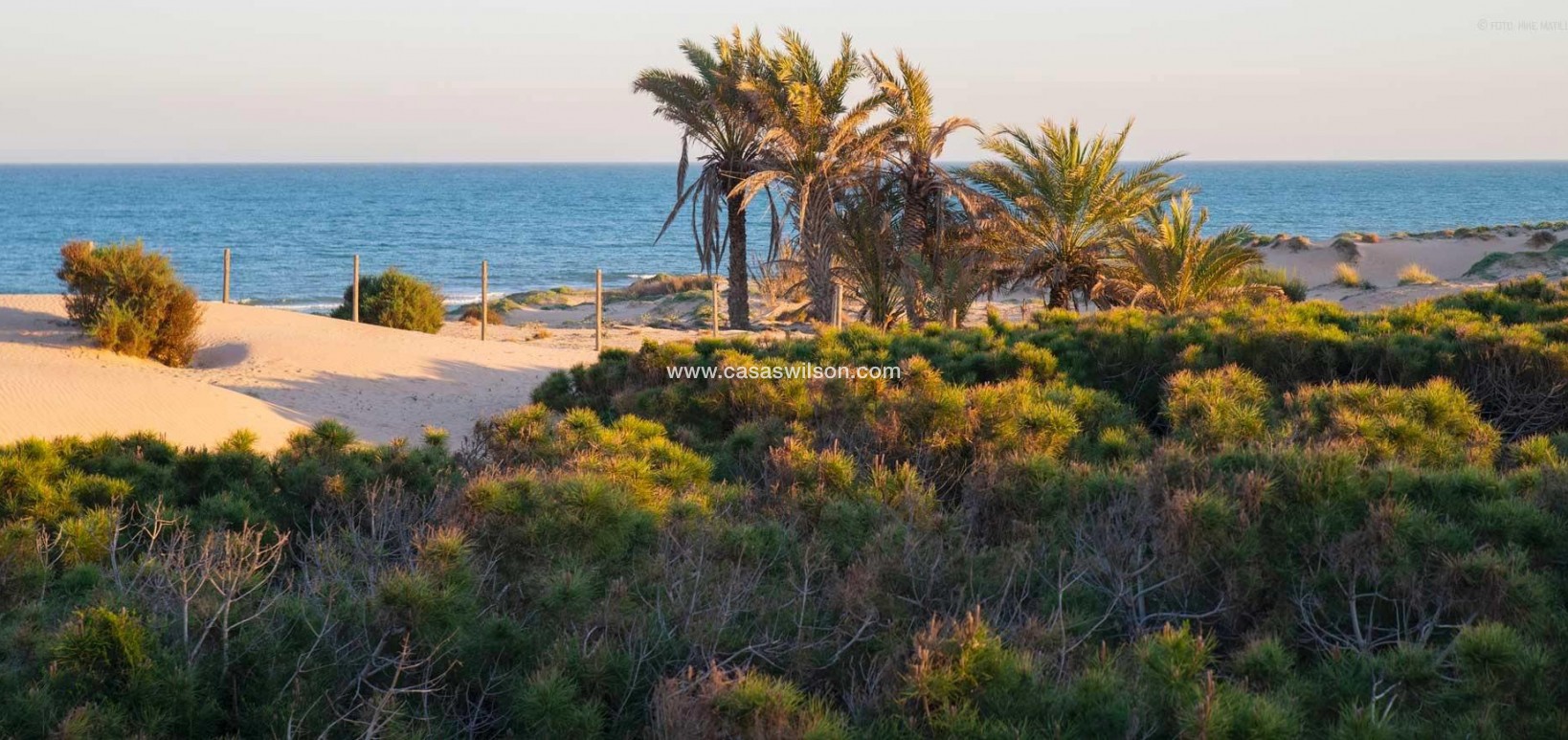 New Build - Apartment - Guardamar del Segura - Avda del Puerto