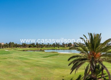 New Build - Villa - Los Alcazares - Serena Golf