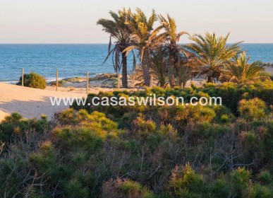 Sale - Townhouse - Guardamar del Segura - Costa Blanca