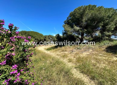 Sale - Townhouse - Guardamar del Segura - Costa Blanca