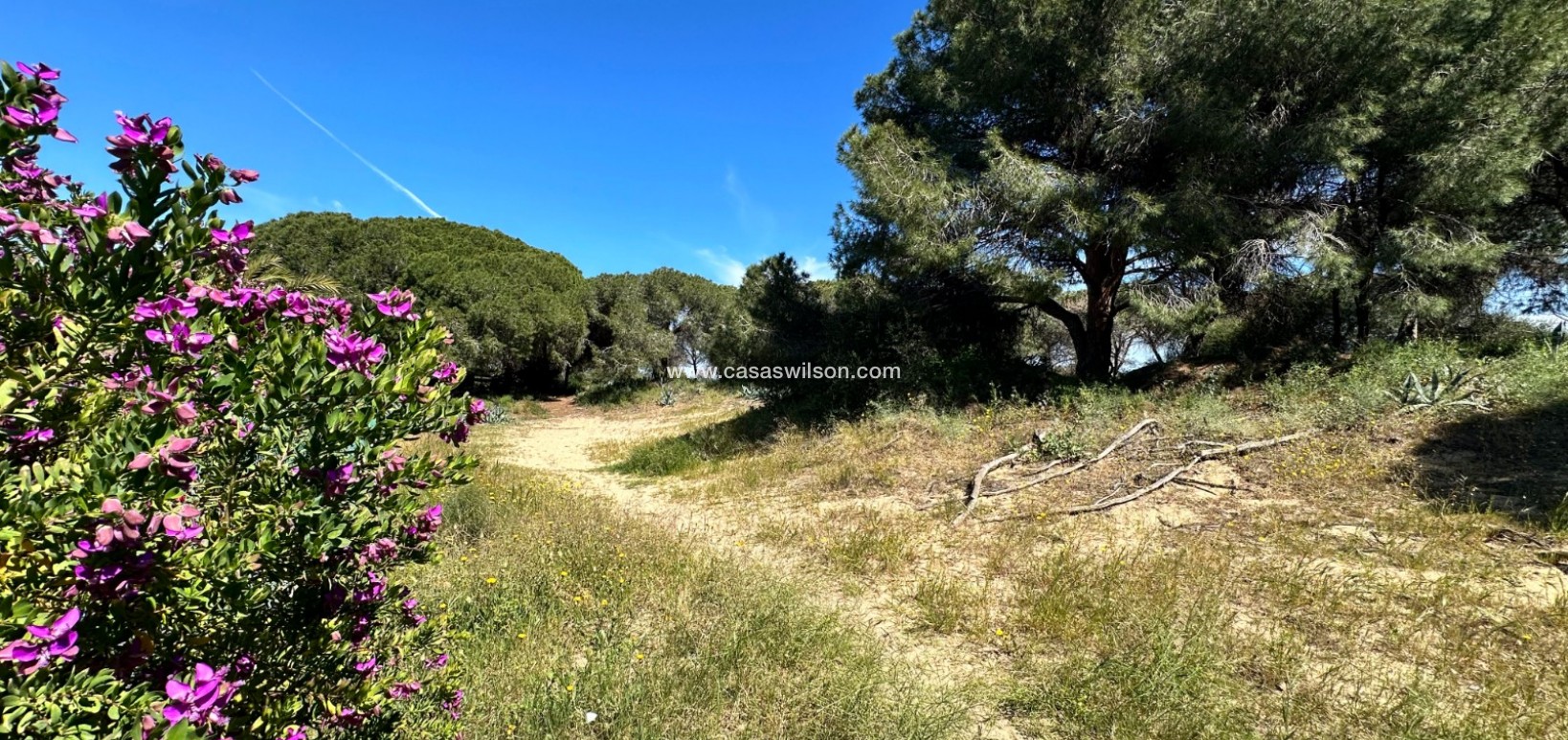 Sale - Townhouse - Guardamar del Segura - Costa Blanca