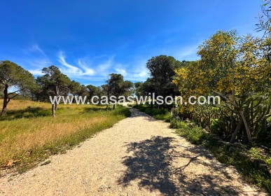 Sale - Townhouse - Guardamar del Segura - Costa Blanca