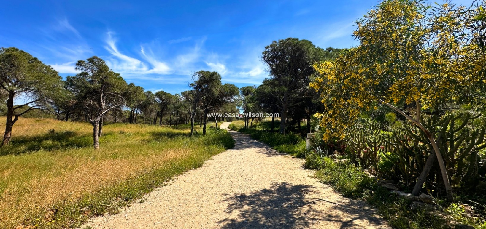 Sale - Townhouse - Guardamar del Segura - Costa Blanca