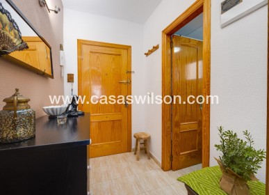 Sale - Apartment - Torrevieja - Estacion De Autobuses