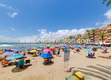 Sale - Apartment - Torrevieja - Estacion De Autobuses