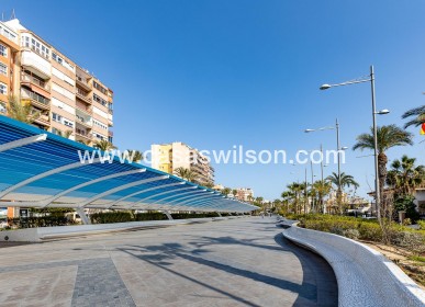 Sale - Apartment - Torrevieja - Estacion De Autobuses