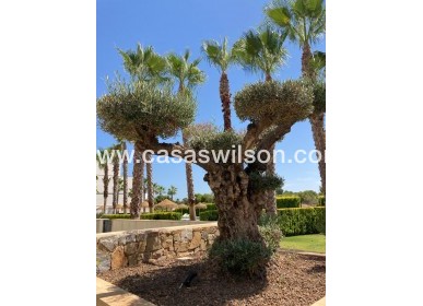 Sale - Apartment - Las Colinas Golf - Las Colinas