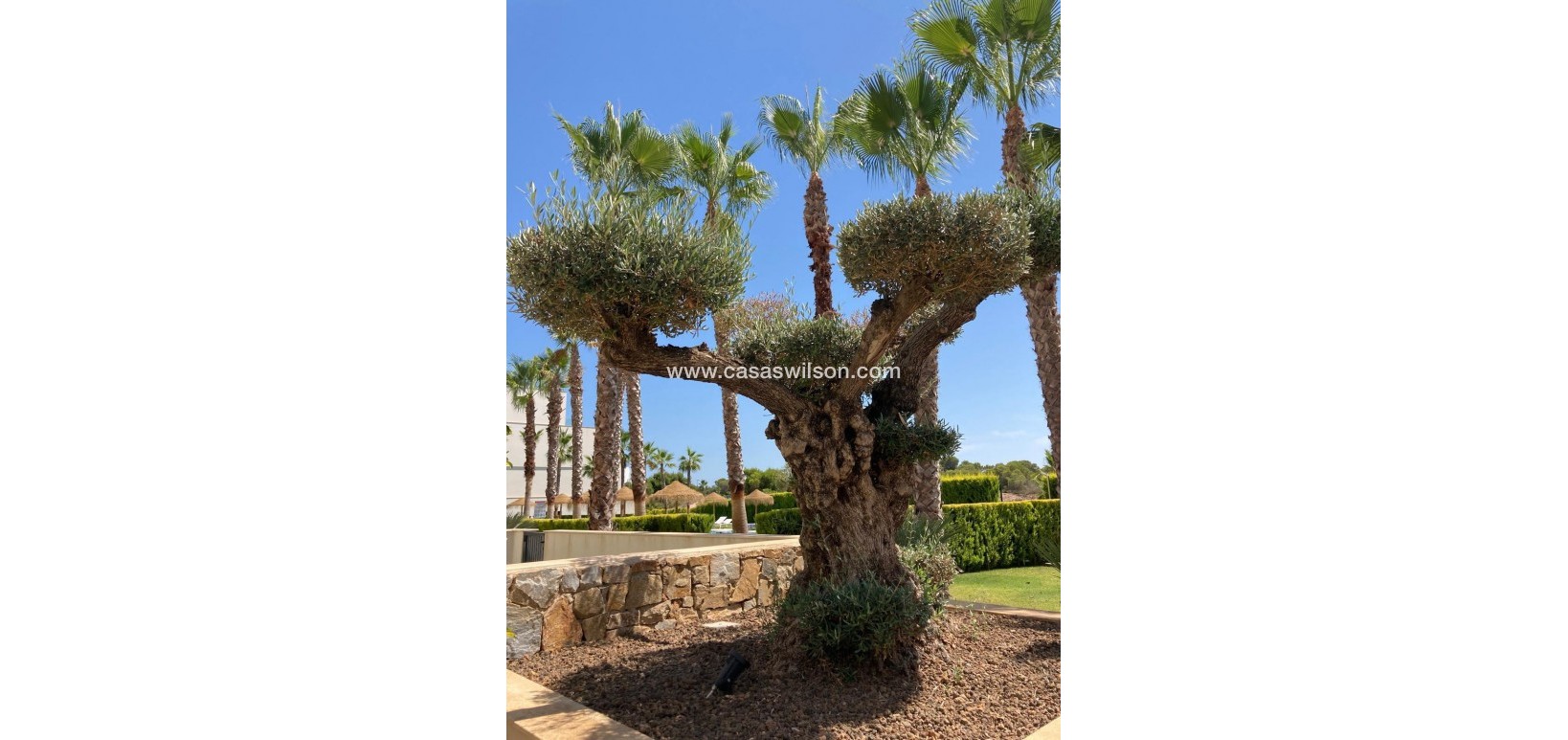 Sale - Apartment - Las Colinas Golf - Las Colinas