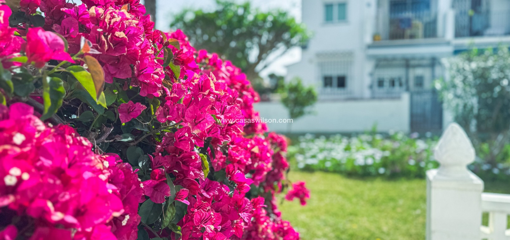 Sale - Bungalow - Torrevieja - Costa Blanca