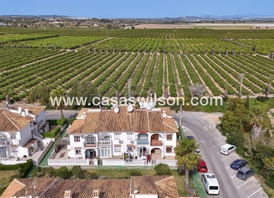 Sale - Bungalow - Torrevieja - Costa Blanca