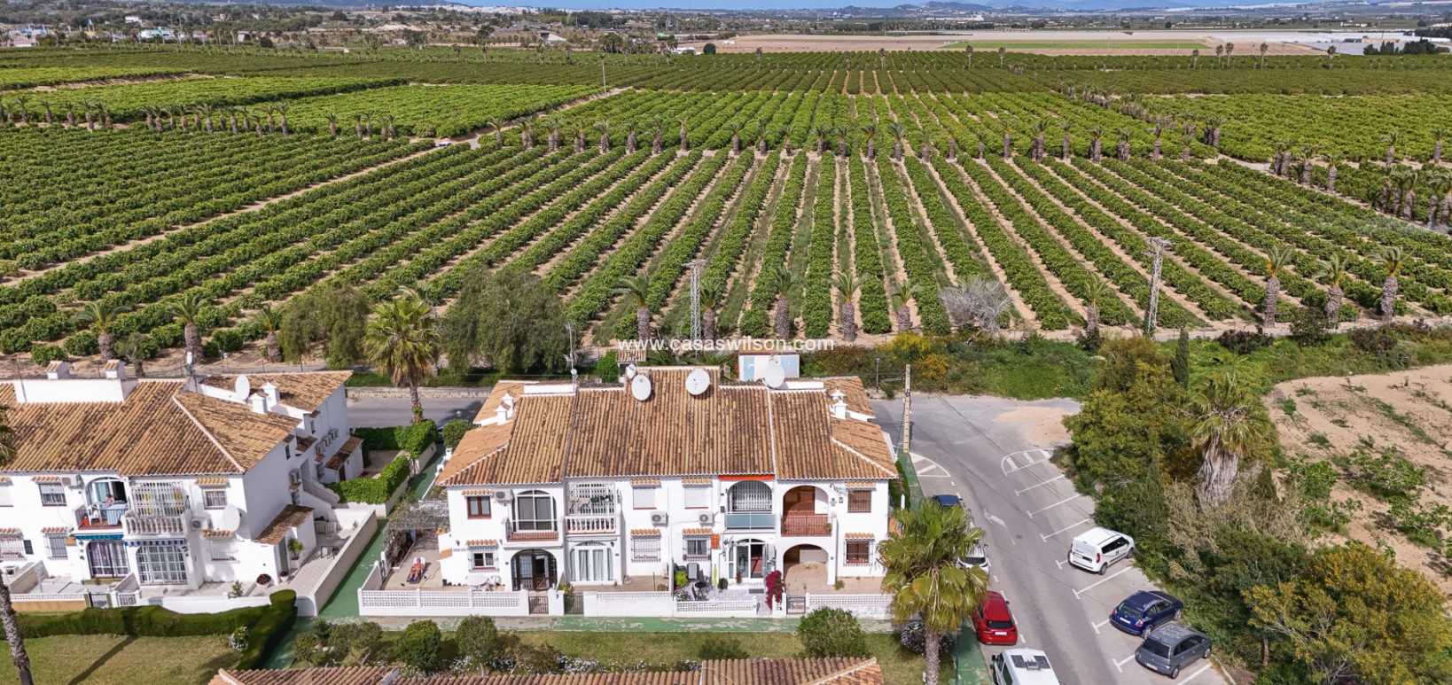 Sale - Bungalow - Torrevieja - Costa Blanca