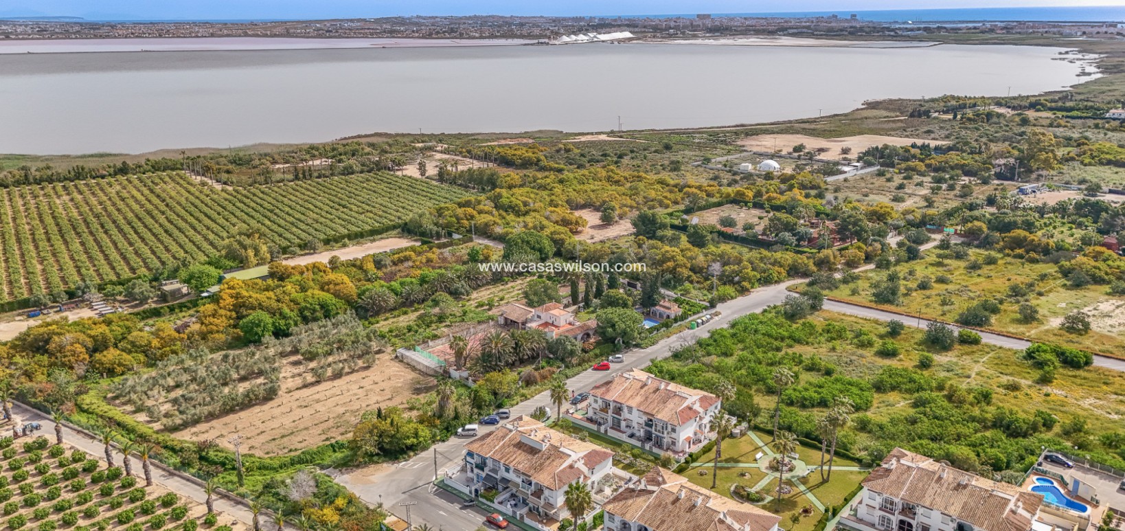 Sale - Bungalow - Torrevieja - Costa Blanca