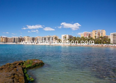 Sale - Bungalow - Torrevieja - Centro
