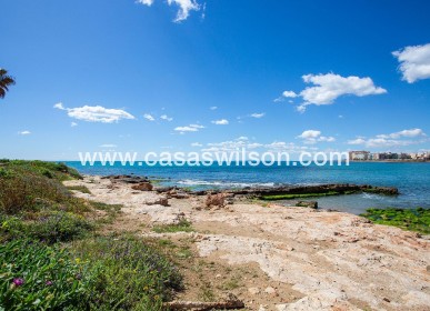Sale - Bungalow - Torrevieja - Centro