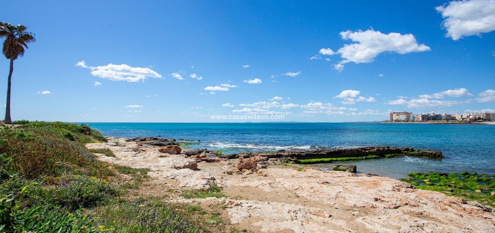Sale - Bungalow - Torrevieja - Centro