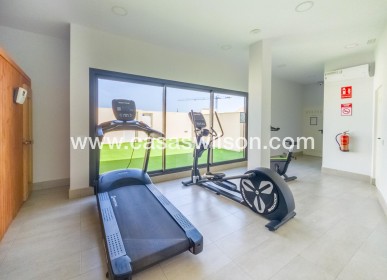 Sale - Apartment - Torrevieja - Estacion De Autobuses