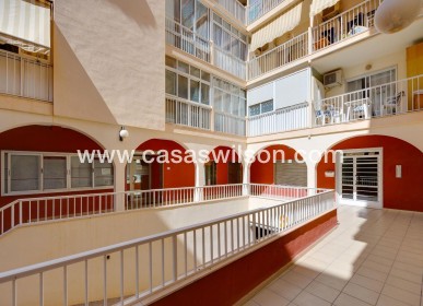 Sale - Apartment - Torrevieja - Estacion De Autobuses