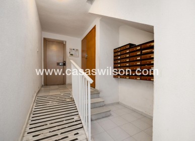 Sale - Apartment - Torrevieja - Estacion De Autobuses