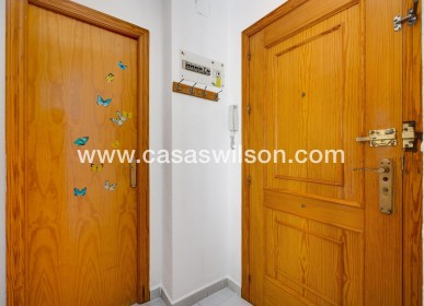 Sale - Apartment - Torrevieja - Estacion De Autobuses