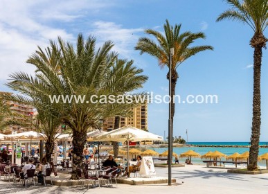 Sale - Apartment - Torrevieja - Estacion De Autobuses