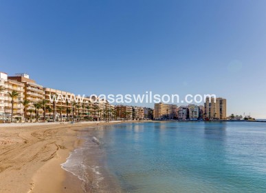 Sale - Apartment - Torrevieja - Estacion De Autobuses
