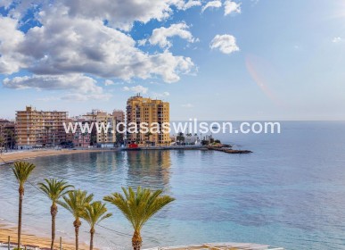 Sale - Apartment - Torrevieja - Estacion De Autobuses