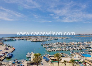 Sale - Apartment - Torrevieja - Estacion De Autobuses