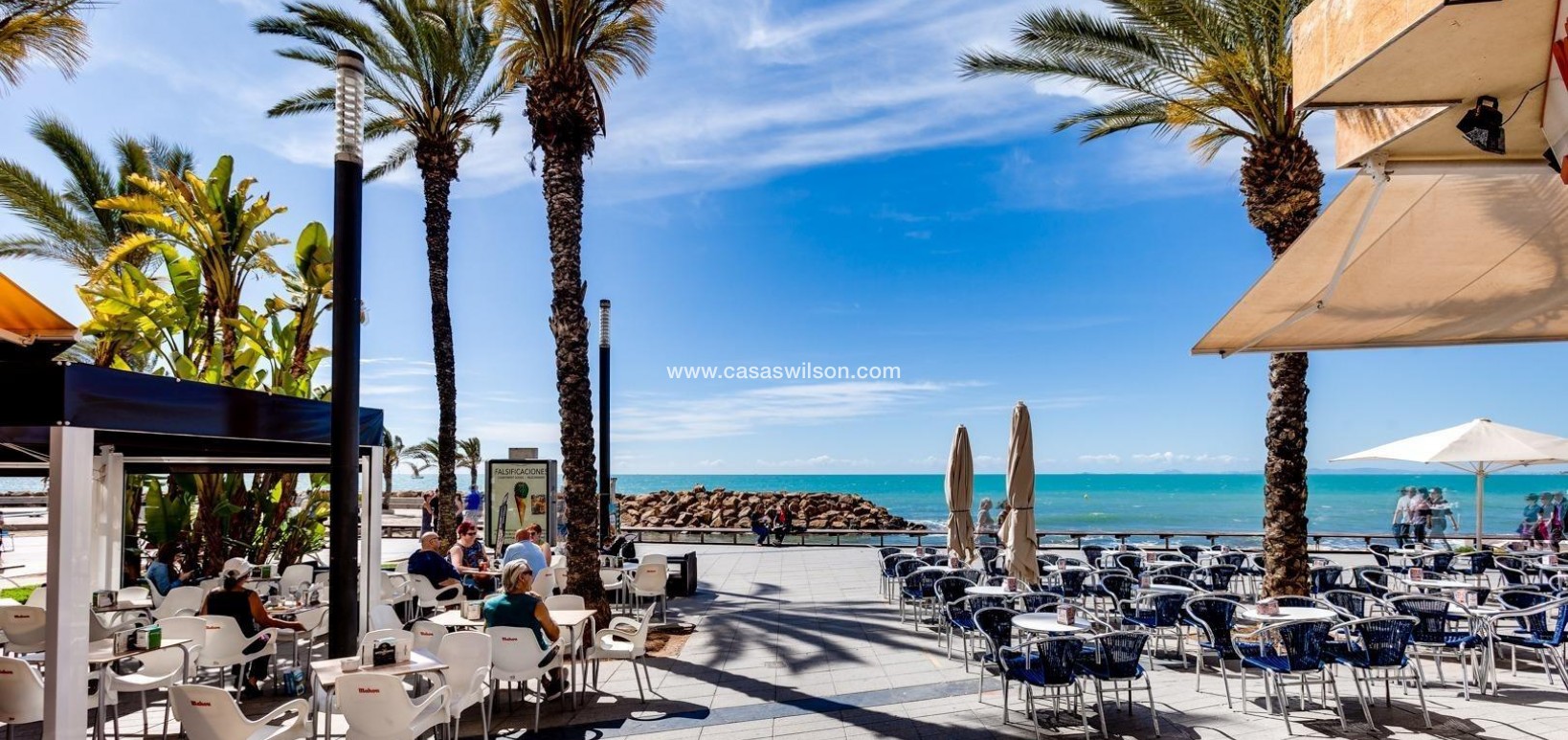 Sale - Apartment - Torrevieja - La Siesta