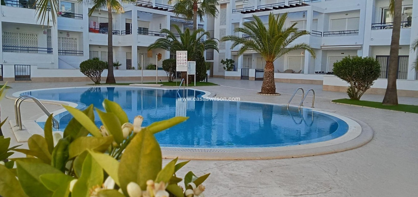 Sale - Apartment - Torrevieja - La veleta