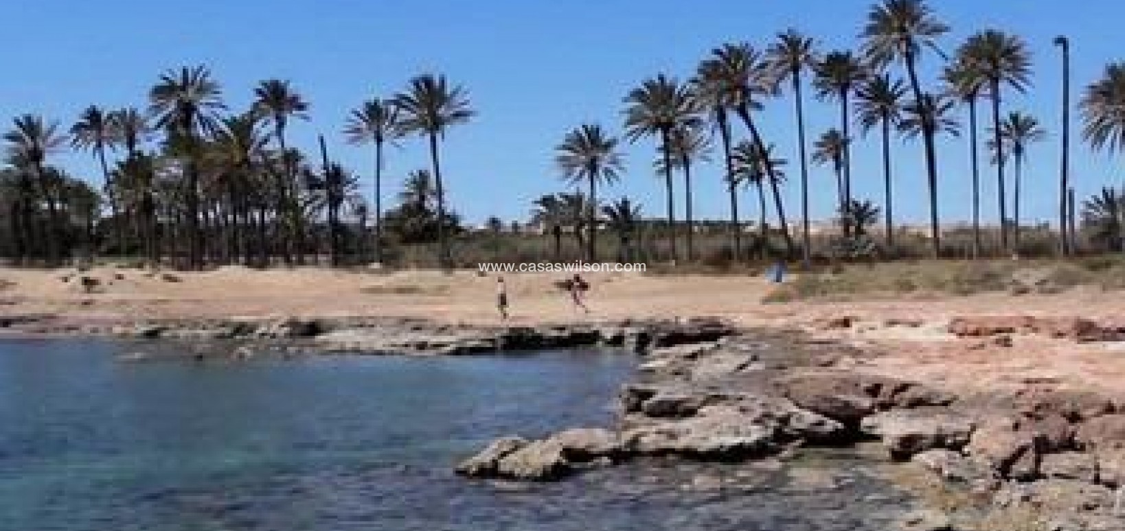 Sale - Apartment - Torrevieja - La veleta