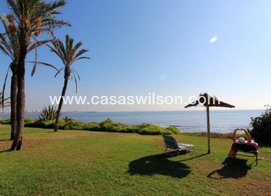 Sale - Apartment - Torrevieja - La veleta