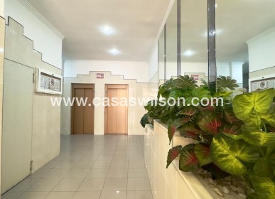 Sale - Apartment - Torrevieja - Centro