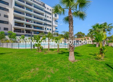 Sale - Apartment - Dehesa de Campoamor - Dehesa De Campoamor