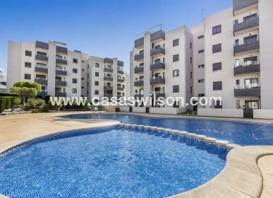 Sale - Apartment - San Miguel de Salinas - Inland