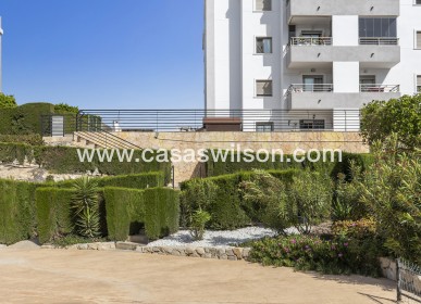 Sale - Apartment - San Miguel de Salinas - Inland