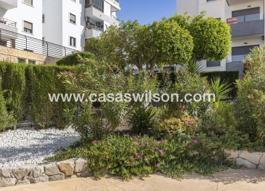 Sale - Apartment - San Miguel de Salinas - Inland