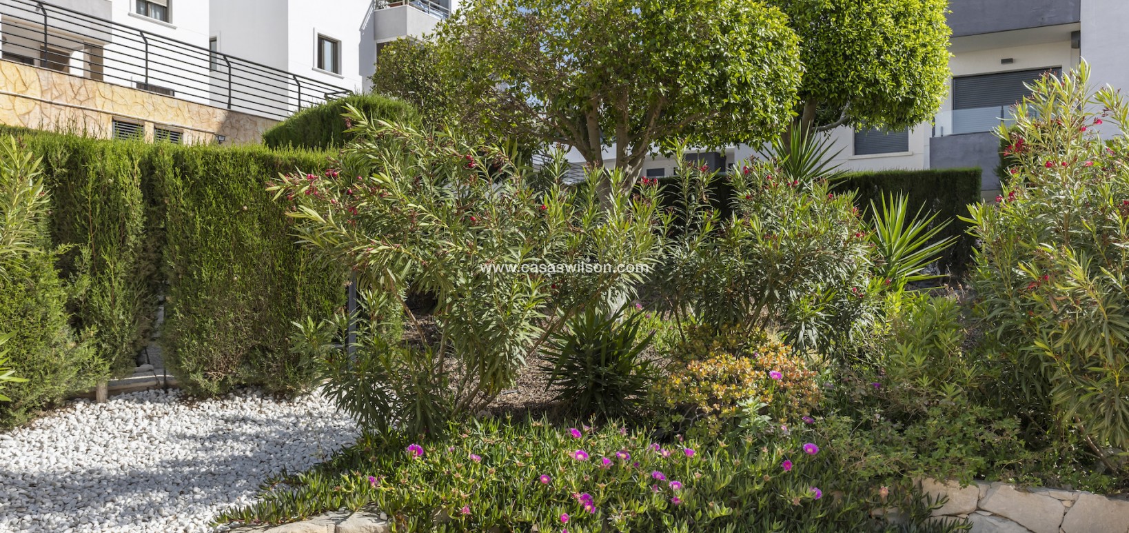 Sale - Apartment - San Miguel de Salinas - Inland