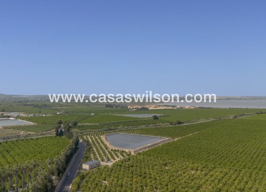 Sale - Apartment - San Miguel de Salinas - Inland