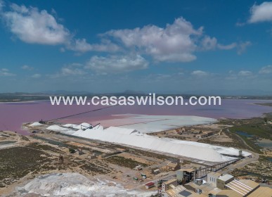 Sale - Apartment - San Miguel de Salinas - Inland