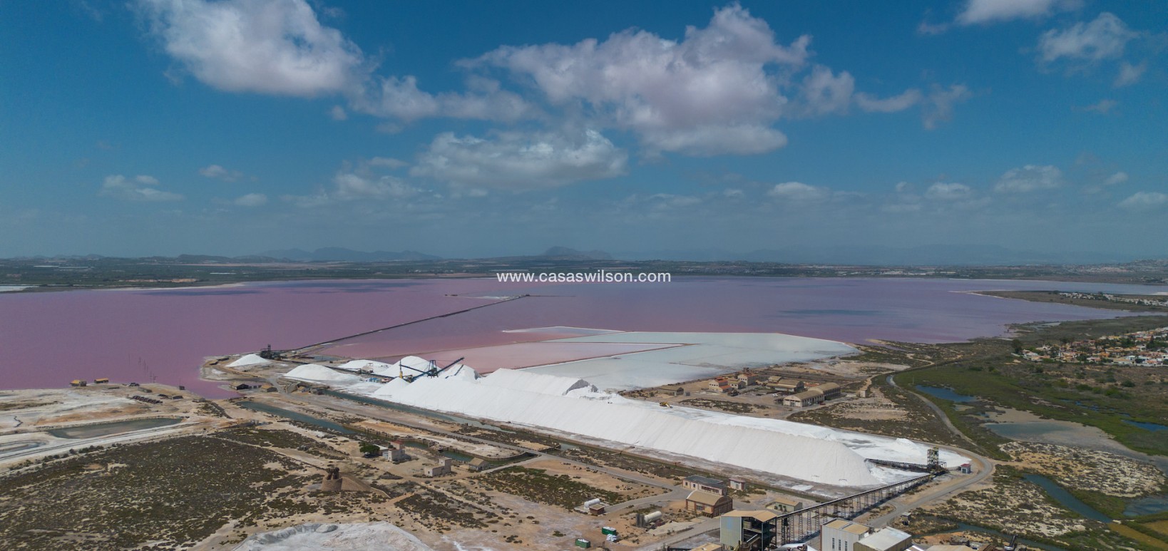 Sale - Apartment - San Miguel de Salinas - Inland