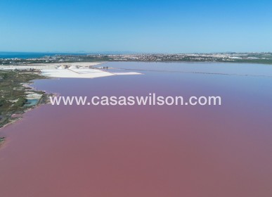 Sale - Apartment - San Miguel de Salinas - Inland