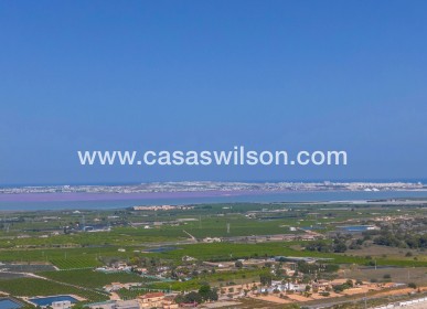 Sale - Apartment - San Miguel de Salinas - Inland