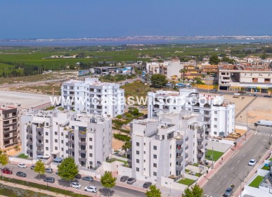 Sale - Apartment - San Miguel de Salinas - Inland