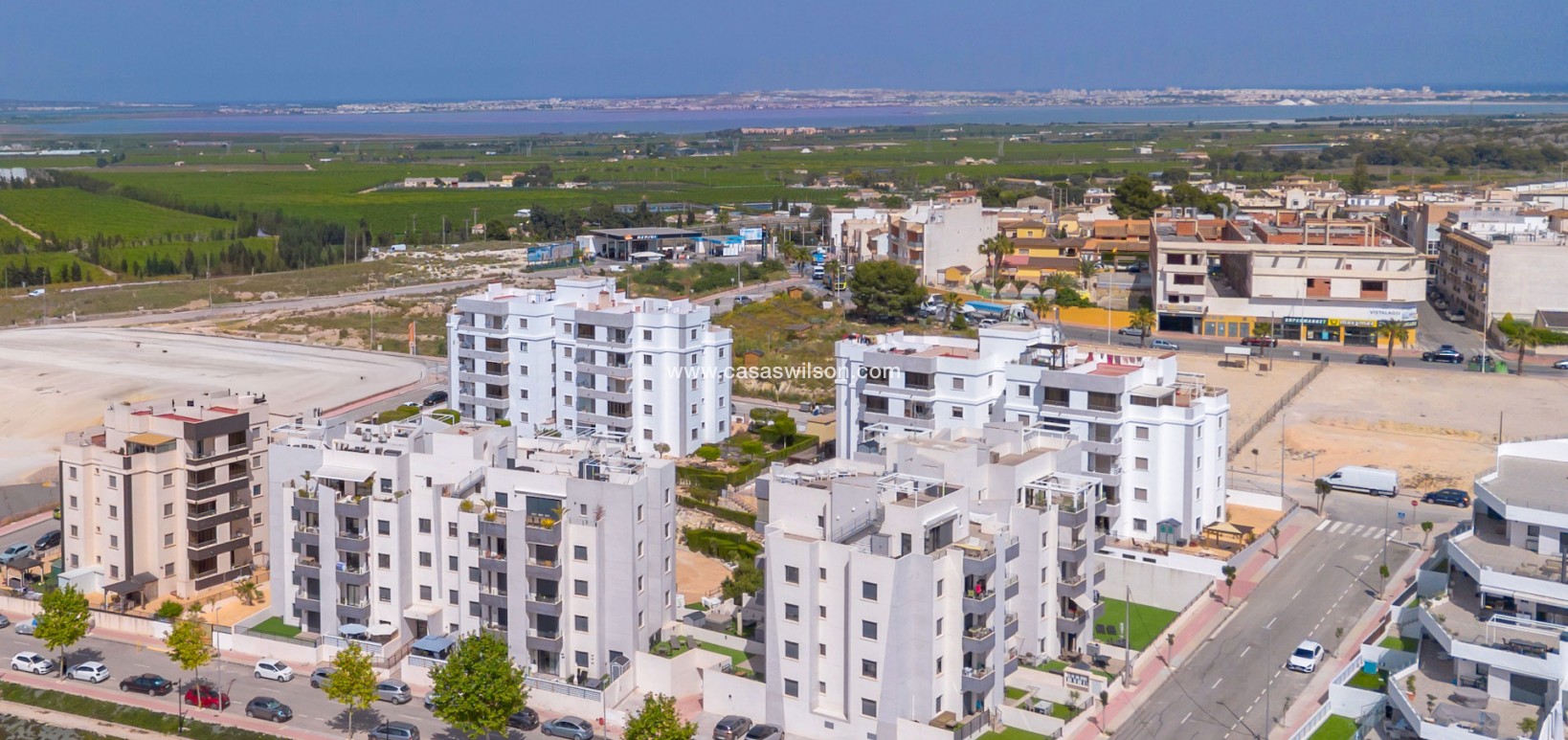 Sale - Apartment - San Miguel de Salinas - Inland