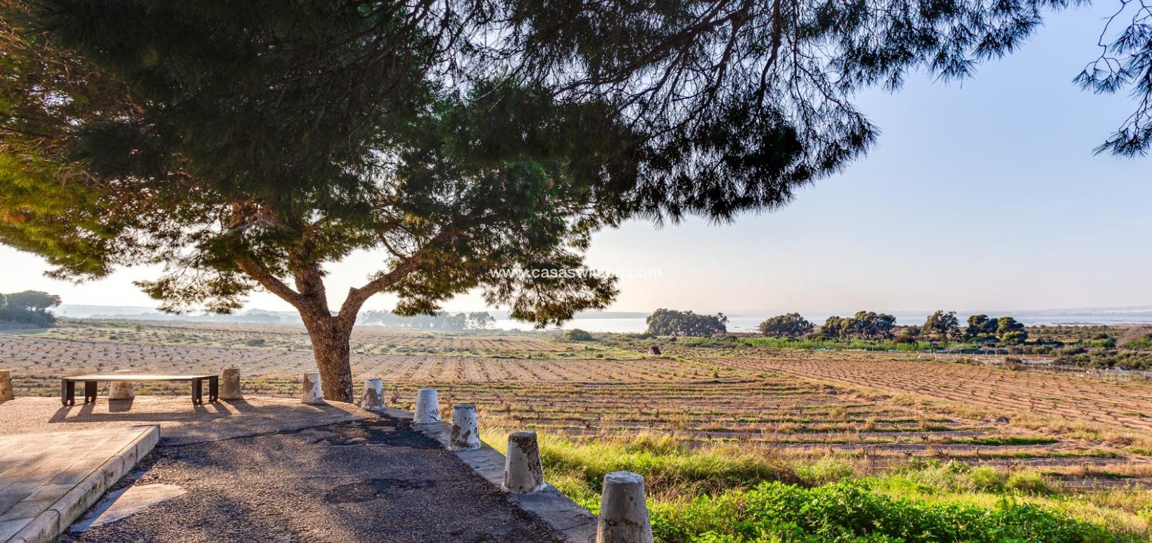 Sale - Bungalow - Torrevieja - La Siesta - El Salado - Torreta